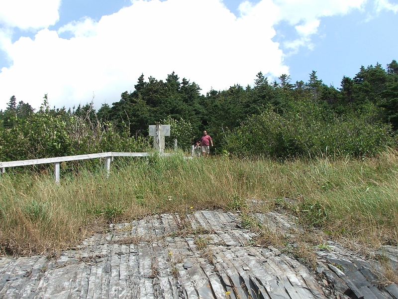NFLD_drive_to_and-viking_settlement 654.jpg